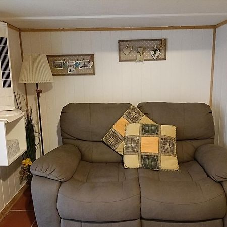 Nonna Lori'S Chalet Pisa Zona Stazione E Aeroporto المظهر الخارجي الصورة