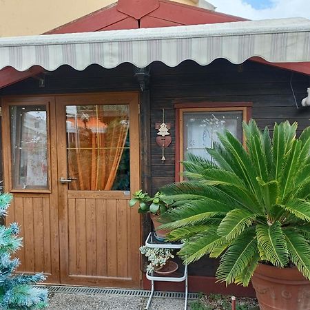 Nonna Lori'S Chalet Pisa Zona Stazione E Aeroporto المظهر الخارجي الصورة